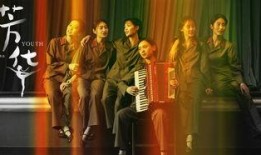 芳华2017在线观看,青春岁月的华彩篇章